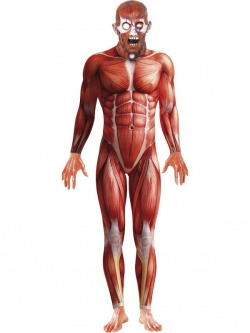 Kostým Tělo zbavené kůže
